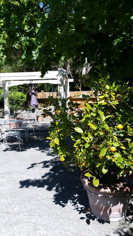 Le Clos Du Loup La Colle-sur-Loup Bagian luar foto