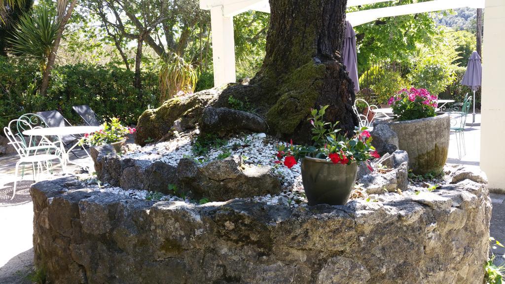 Le Clos Du Loup La Colle-sur-Loup Bagian luar foto